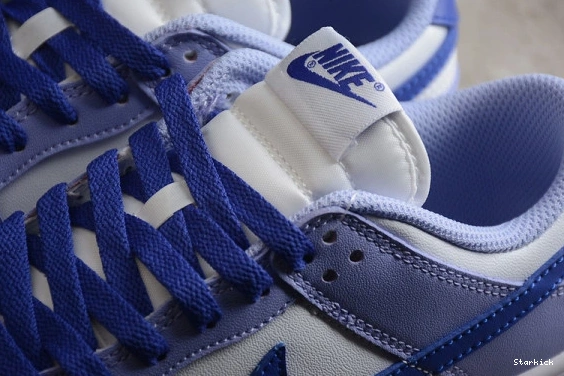 Blueberry Nike Dunk DZ4456-100 (GS) Low 0122